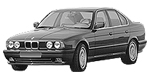 BMW E34 P0066 Fault Code